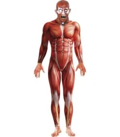 Anatomy Man Costume, Red