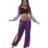 Arabian Princess Costume, Purple