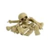 Bag Of Bones & Skull, Natural