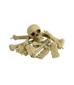 Bag Of Bones & Skull, Natural