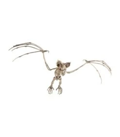 Bat Skeleton Prop, Natural