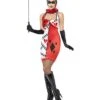 Cirque Sinister Jester Of Broken Hearts Costume