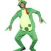 Frog Prince Costume, Top With Attached Gloves, Gre