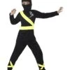 Ninja Assassin Costume