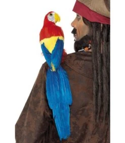 Parrot 50cm / 20in, Multi-Coloured