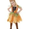 Pumpkin Fairy Costume, Orange