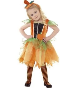 Pumpkin Fairy Costume, Orange