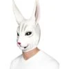 Rabbit Mask, White