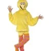 Sesame Street Big Bird Costume