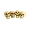 Skull Heads, Natural