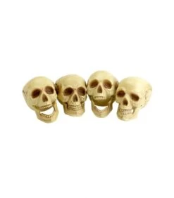 Skull Heads, Natural