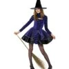 Teen Stripe Dark Fairy Costume, Purple & Black