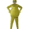 The Grinch Costume