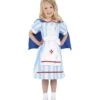 Vintage Nurse Costume, Blue