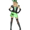 Wicked Bitch Costume, Green