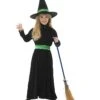 Wicked Witch Costume, Black