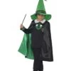 Wizard Boy Costume, Black & Green
