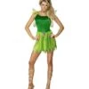 Woodland Fairy Costume, Green